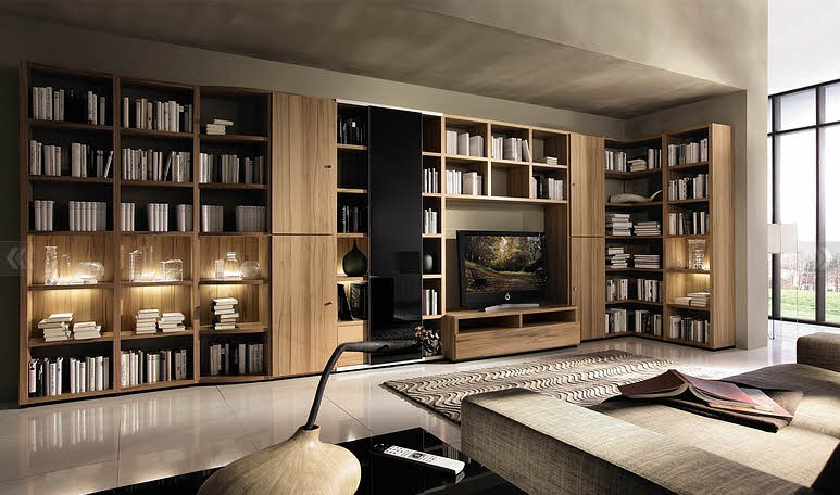 large living room design ideas on Living Room With Big Bookcase Design Ideas  Living Room With Big
