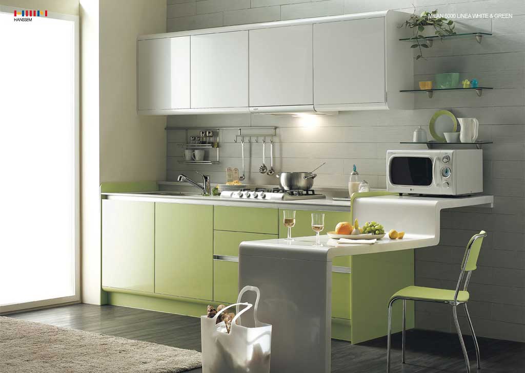 Green Kitchen Full Set Design  Interior Design Ideas