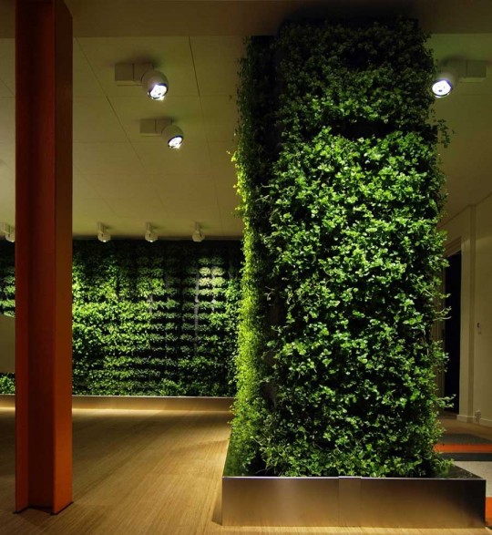 Indor Plant Walls Decoration