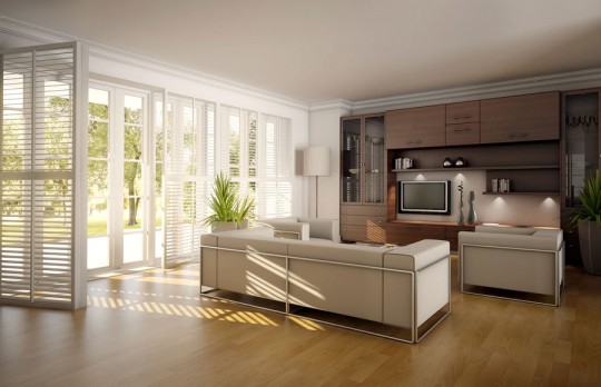 Minimalistic Open Living Room 2011