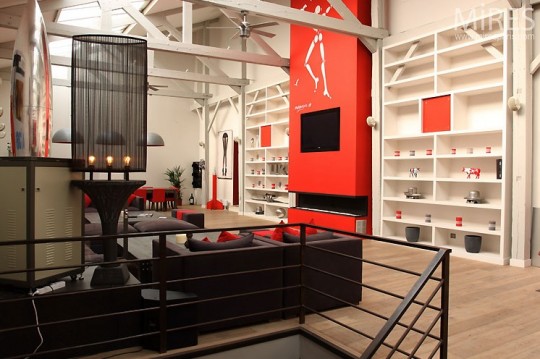 Red and Green Loft Design Ideas: Simple Rows of Shevles in Paris Loft