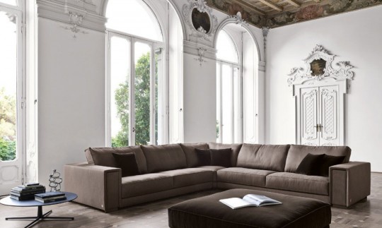 Modern and Minimalist Living Room with Brown Sofas