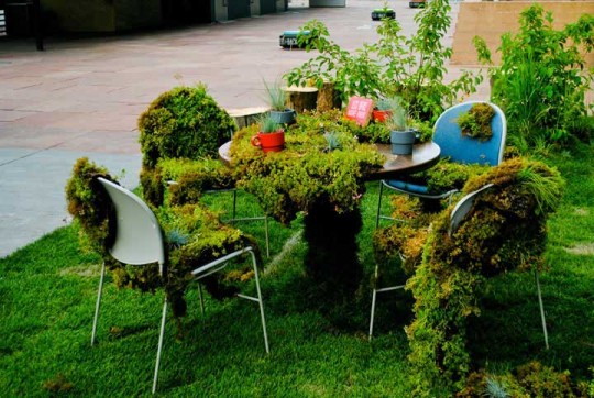 Unique Denver Eco Office Meeting Desk Along Moss and Plants