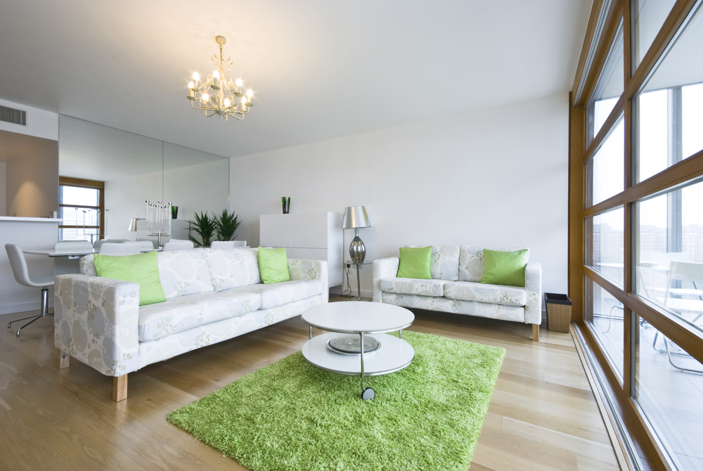 green rug for living room