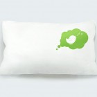Fancy Pillow Design with Green Bird Picture