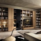 Living Room with Big Bookcase Design Ideas