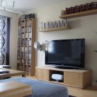 Shining Living Room Decor Tv Setup
