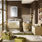 Shining and Modern Bathroom Design from Delpha