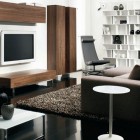 Contemporary Living Room with White Rack