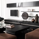 Elegant Black and White Living Room Decorations