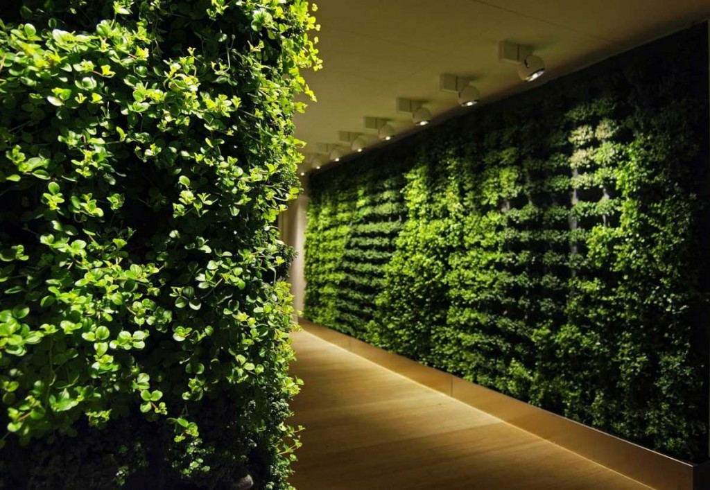 Green Wall Corridor Decoration