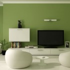 Modern Green Paint Color Living Room Design