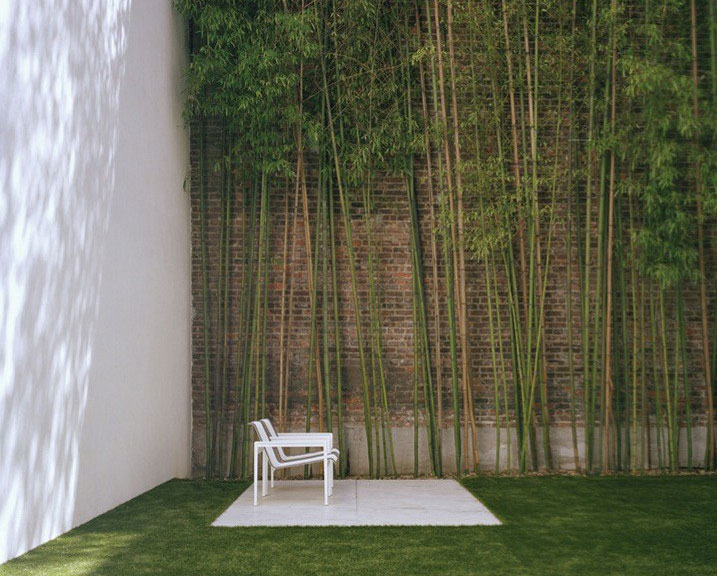 Urban Garden with Bamboo Wall Decoration