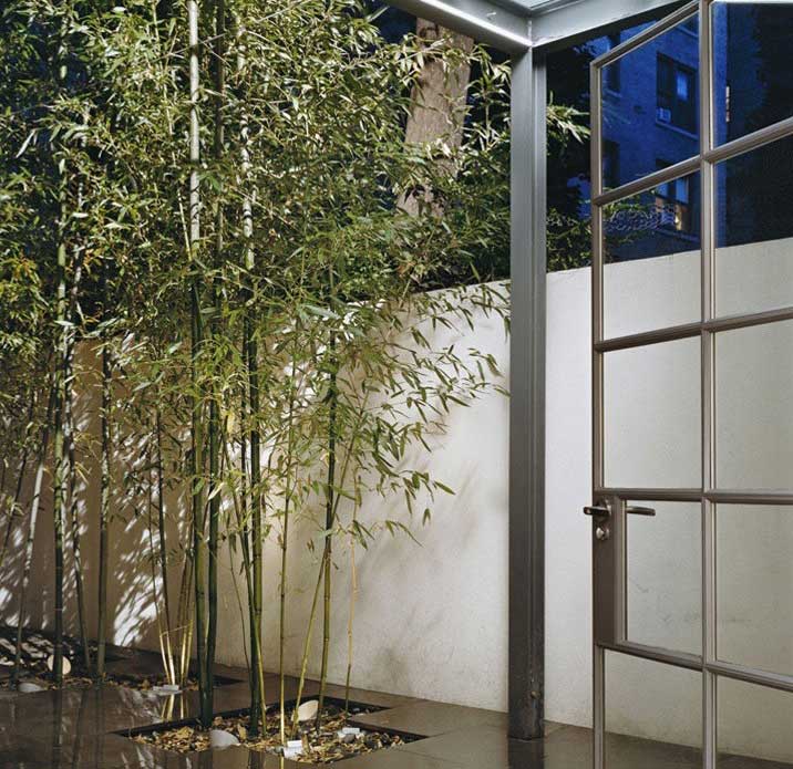 Urban Garden with Tiled floor and Bamboo