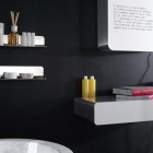 Modern Wall Unit Decorations in Black Bathroom Designs