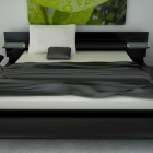 Modern and Stylish Black and White Bed Design