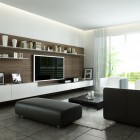 Fancy Modern Style Living Room with Black and White