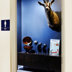 Office Design Wall with Deer Head Mount