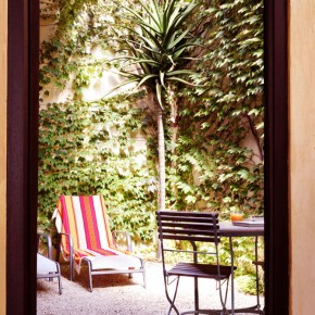 Small Courtyard with Palm Tree and Outdoor Chair