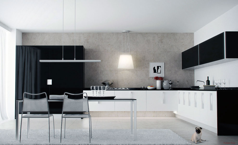 Modern Black White Kitchen Cabinet