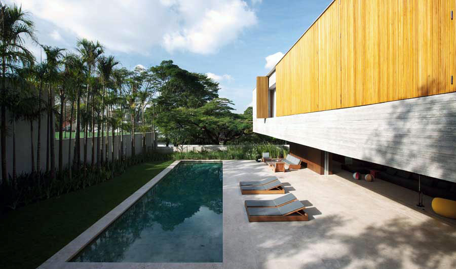 Palm Tree Pool Design Ideas