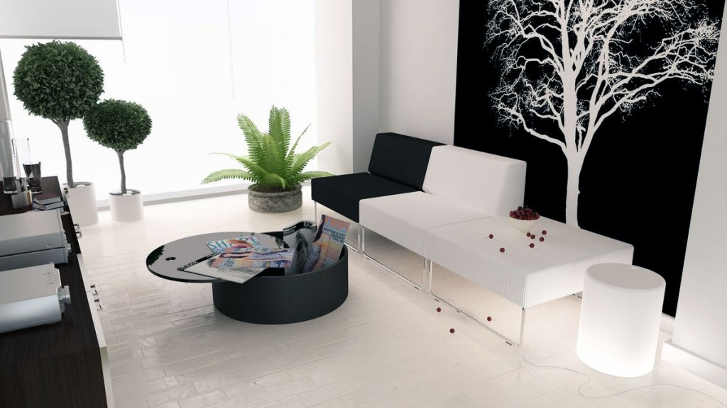 Modern Black White Living Room with Plant