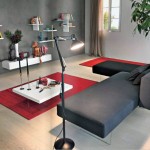 Modern Grey Sofa With Acrylic Stand