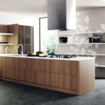 Wood Slab Countertops Modern Kitchen