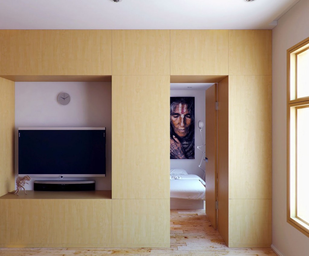 Beech Furniture Living Room Designs Apartment