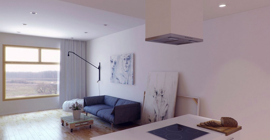 Living Room and Kitchen in One Space Apartment