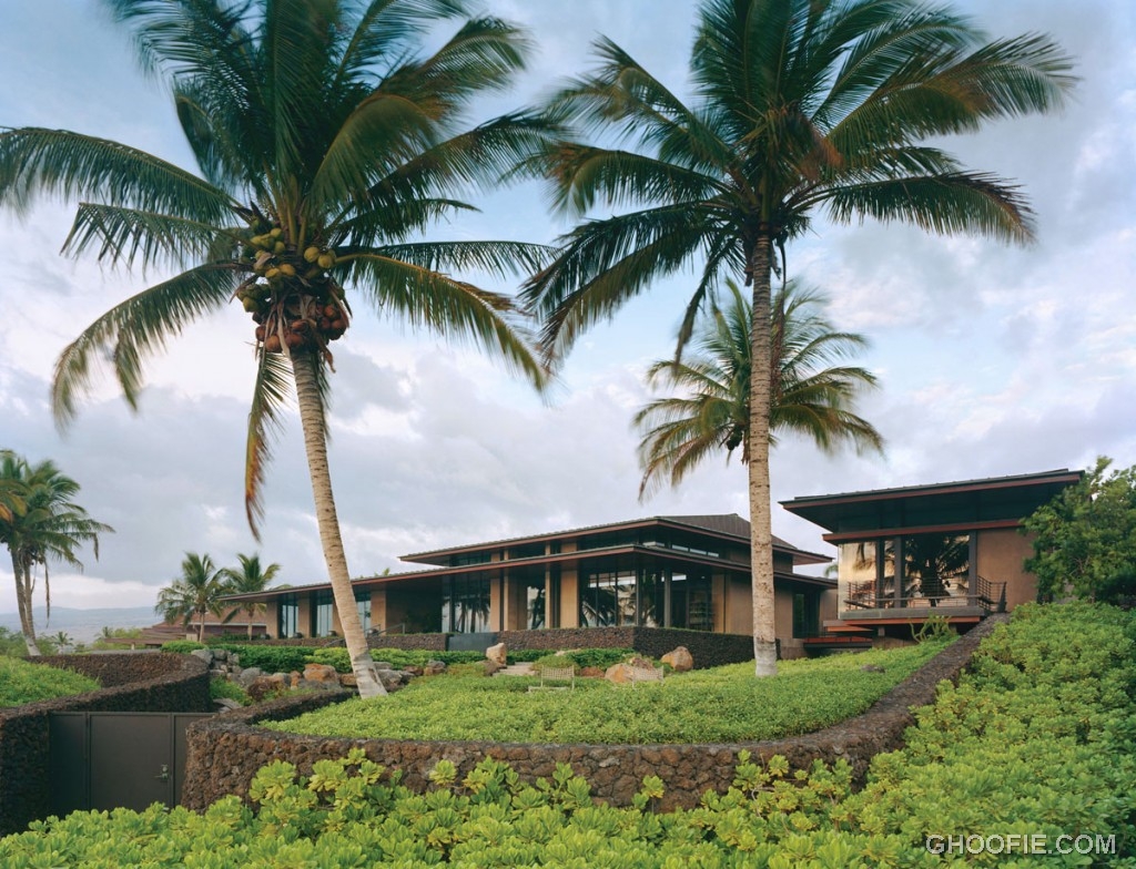 Tropical Garden House with Coconut Trees