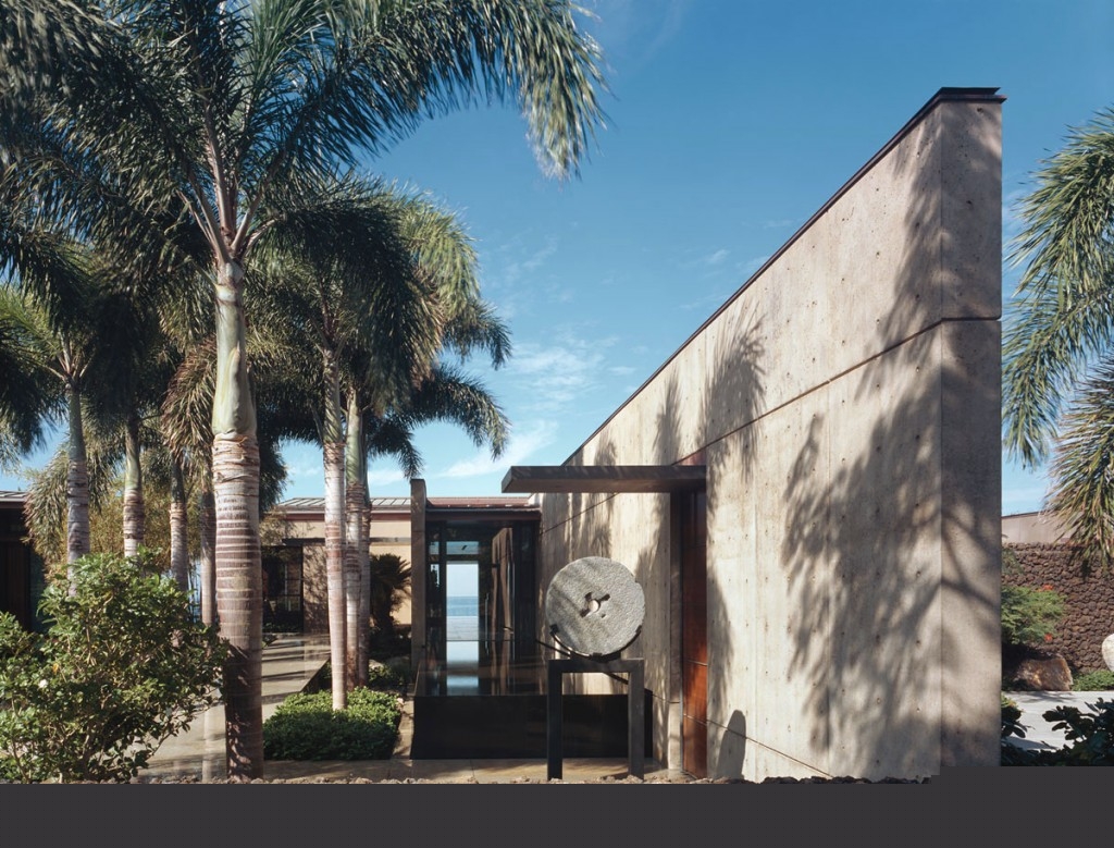 Tropical Ocean House with Palm Trees