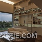 Charming Home Library Design Ideas with Minimalist Ladder