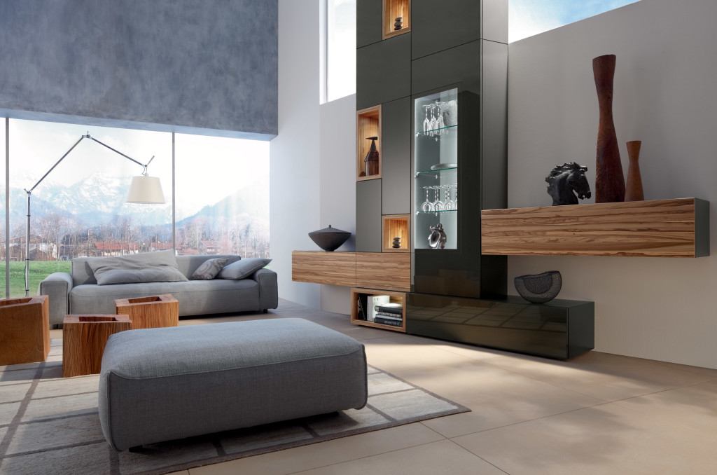 Minimalist living room with gray sofa - Interior Design Ideas