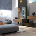 Minimalist living room with gray sofa