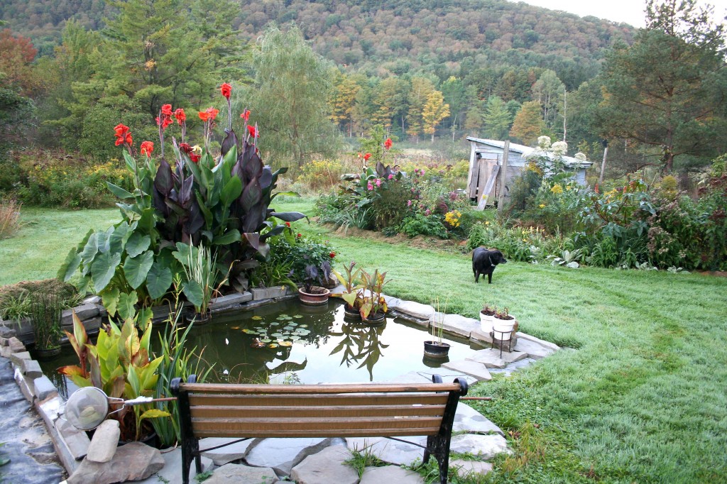 Home garden design plants