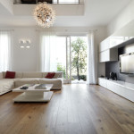 Modern living room with wood floors